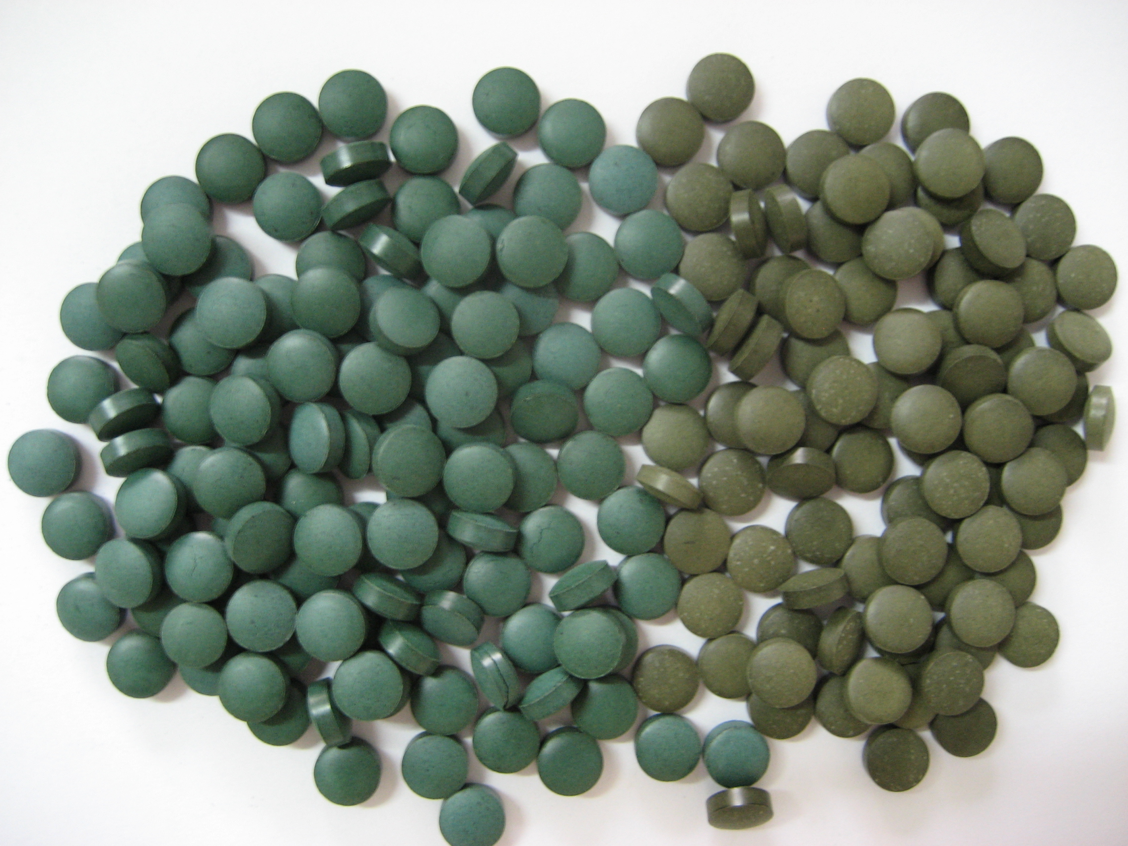 chlorella tablet organic chlorella, chlorella tablet organic chlorella,